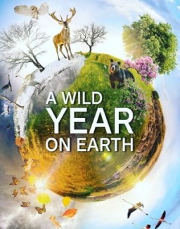 A Wild Year On Earth online For free