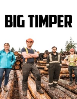 Big Timber online For free