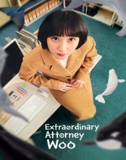 Extraordinary Attorney Woo online gratis