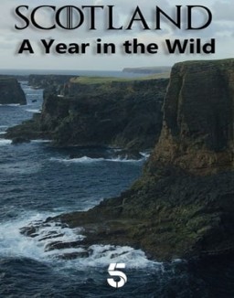 Scotland: A Year In The Wild online For free