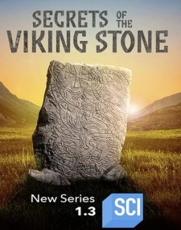 Secrets of the Viking Stone online For free