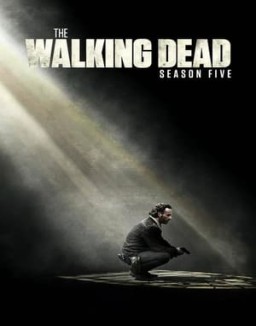 The Walking Dead Season  5 online