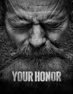 Your Honor Season  1 online